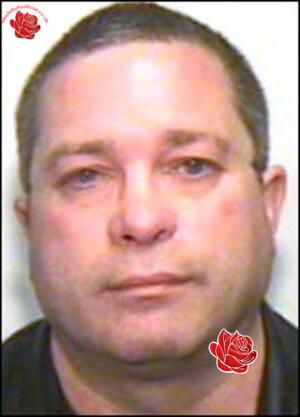 Stephen Bryan – profile image