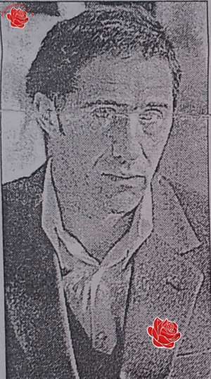 Graham Stridgeon/Seddon – profile image