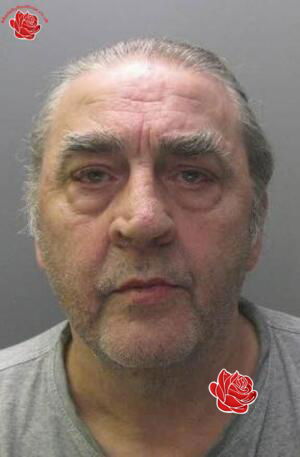 Noel Laing – profile image