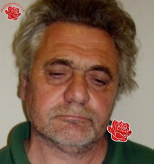 David Kay – profile image