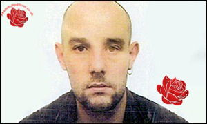 Alan Payne – profile image