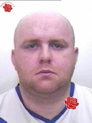 Daniel Brown – profile image