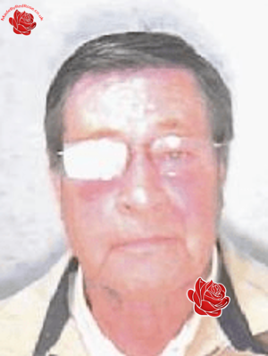 David Patrick – profile image