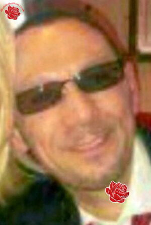 David Timmins – profile image