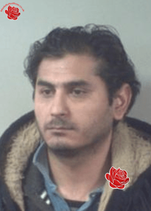 Milan Gatyas – profile image