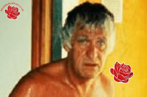 David Wilson – profile image