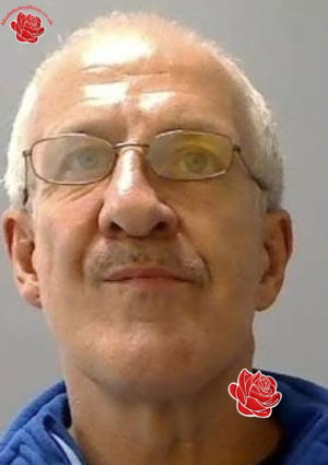 Stephen Hawkes – profile image