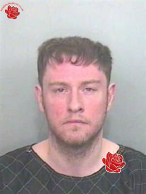 David Scally – profile image
