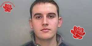 David Gittins – profile image