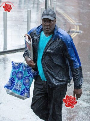 Akinwale Arobieke – profile image