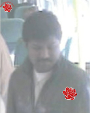 Appeal – profile image