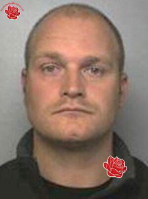 Simon Wyn – profile image