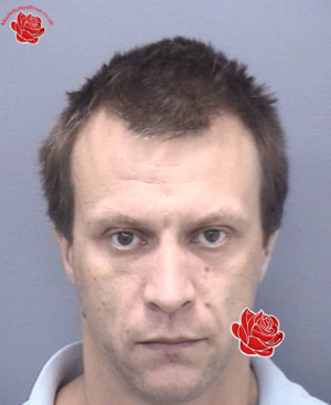Andrew Dolman – profile image