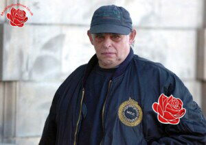 Alister Mollison – profile image
