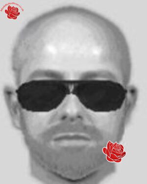 This weeks near abductions – profile image