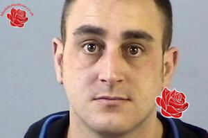 Wayne Stephenson – profile image