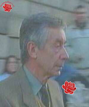Peter Morphew – profile image