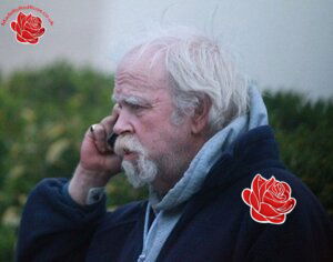Gerard Cleere – profile image