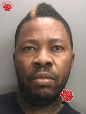 Kifueni Kadiabioko – profile image