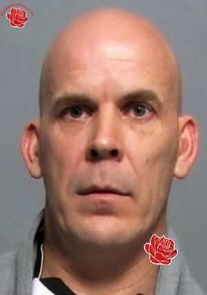 Alan Harrison – profile image