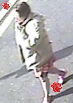 Abduction attempt of 3 yr old girl – profile image