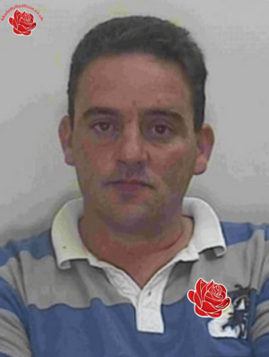 Shaun Allan – profile image