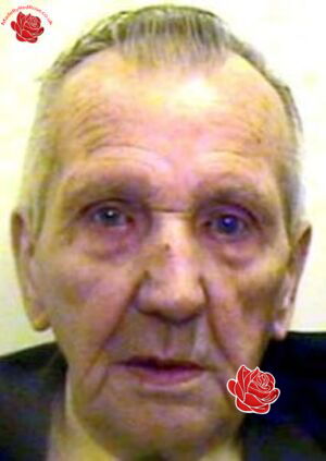 Stanley Davies – profile image