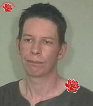 Stewart Plaatsman – profile image