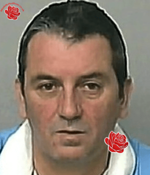 Stephen Smith – profile image