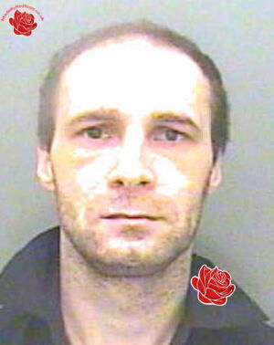 David Humbles – profile image