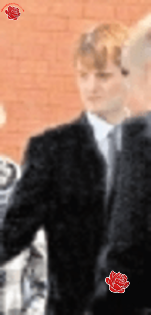 Timothy Brookes – profile image