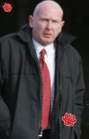 Steven Whitfield – profile image