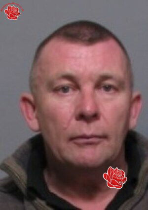 Stuart Greener – profile image