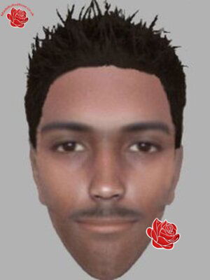 Slough sex attack – profile image