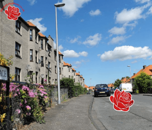 Dalkeith – profile image