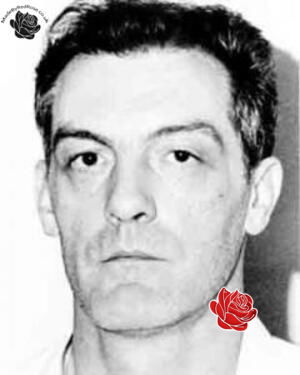 Anthony Entwistle – profile image