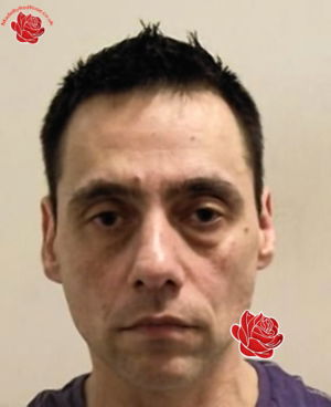 John MacIntosh – profile image