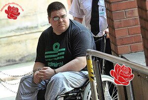 Nicholas Bull – profile image