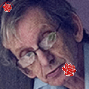 Sandy Wilson – profile image