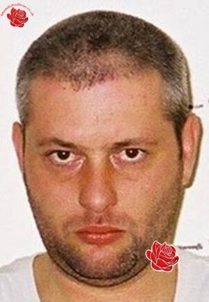 Daniel Williamson – profile image