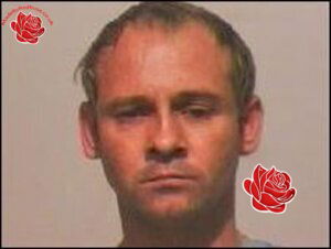 Stephen Turton – profile image