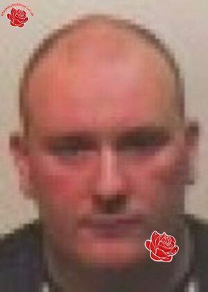 David Armstrong – profile image