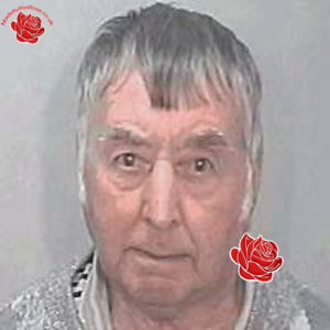 Brian Tomkinson – profile image