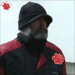 Stephen Du Feu – profile image