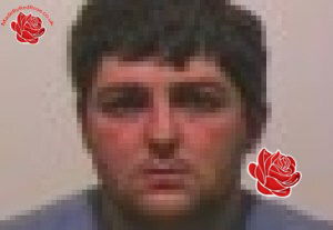 Alex Nicholson – profile image