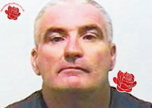 Paul Connelly – profile image