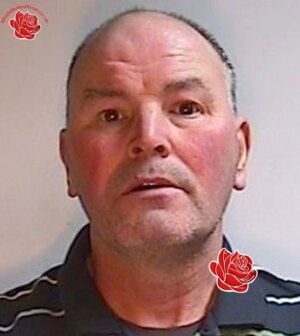 Ian Shipley – profile image