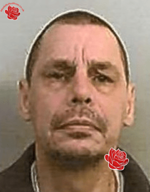 David Edwards – profile image