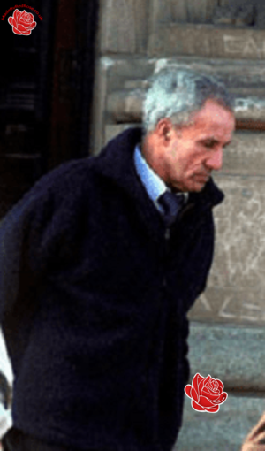 Ian Hawes – profile image