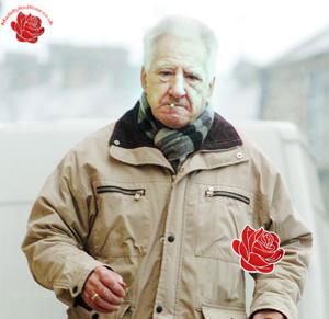 Gerald Greenwood – profile image